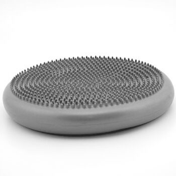 Balance Disc