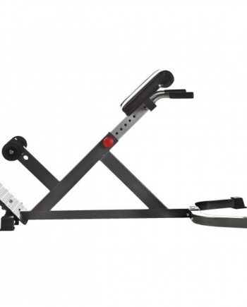 Nordic Fighter 45 Degree Hyperextension