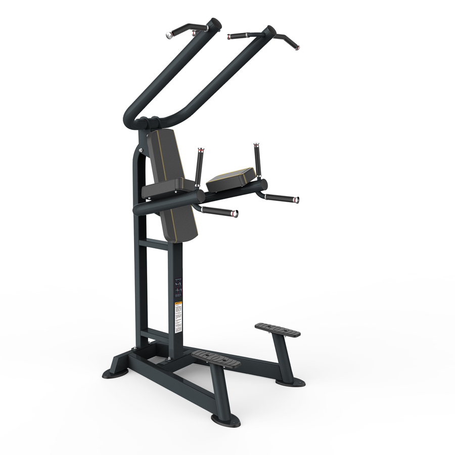 Odin Pro Chin Up Dip Leg Raise