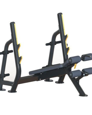 Odin Pro Olympic Decline Bench