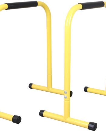 Odin Viking Equalizer Dip Bars