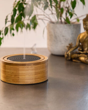 Elia Aroma Diffuser
