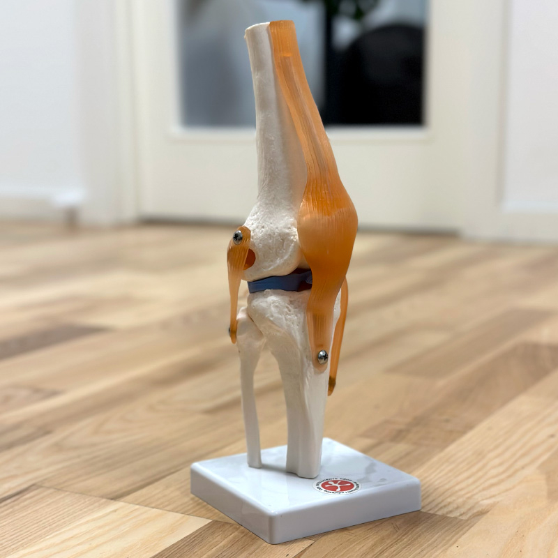 Knæled  Fuld Størrelse