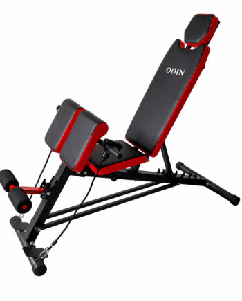 Odin Multi  -in-  Justerbar Træningsbænk   Hyperextension