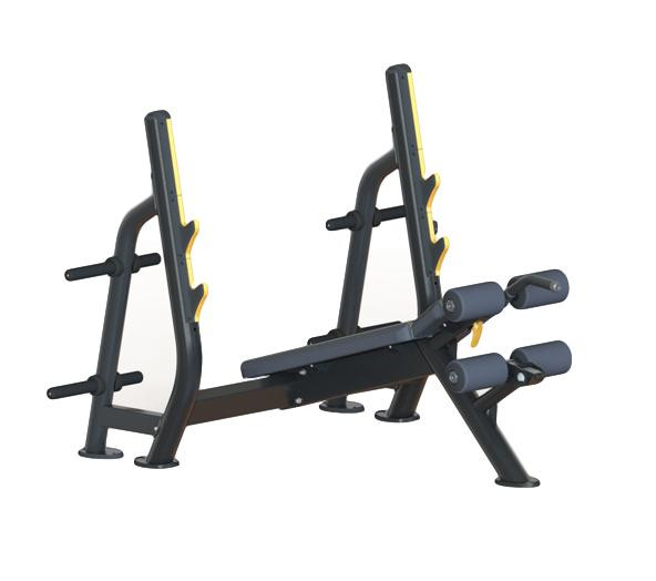 Odin Pro Olympic Decline Bench