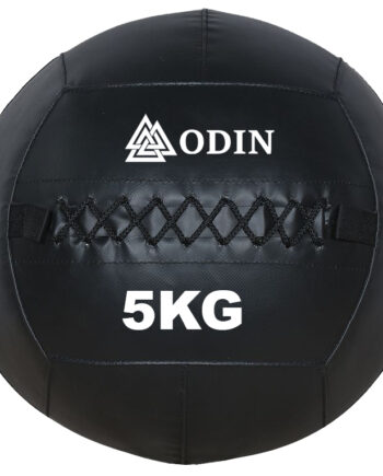 Odin Wall Ball 5kg