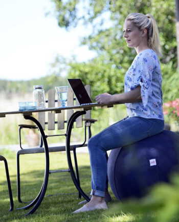 Sissel Gym Ball Cover  Grå