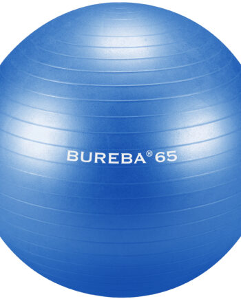 Trendy Swissball 65 Cm Anti Burst